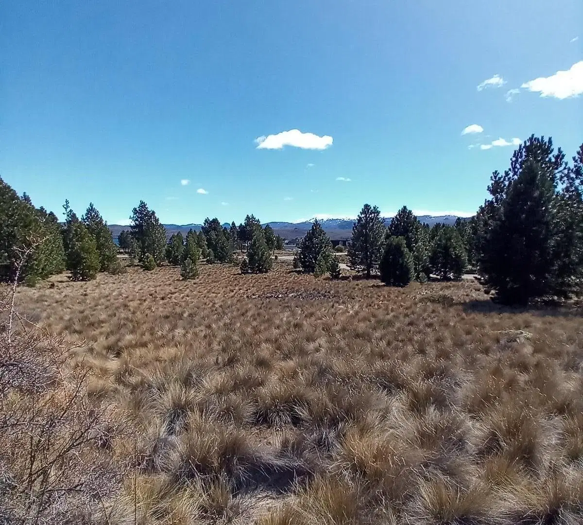 Amplio terreno en Girasoles del Limay, Dina Huapi APTO 4 PH 5