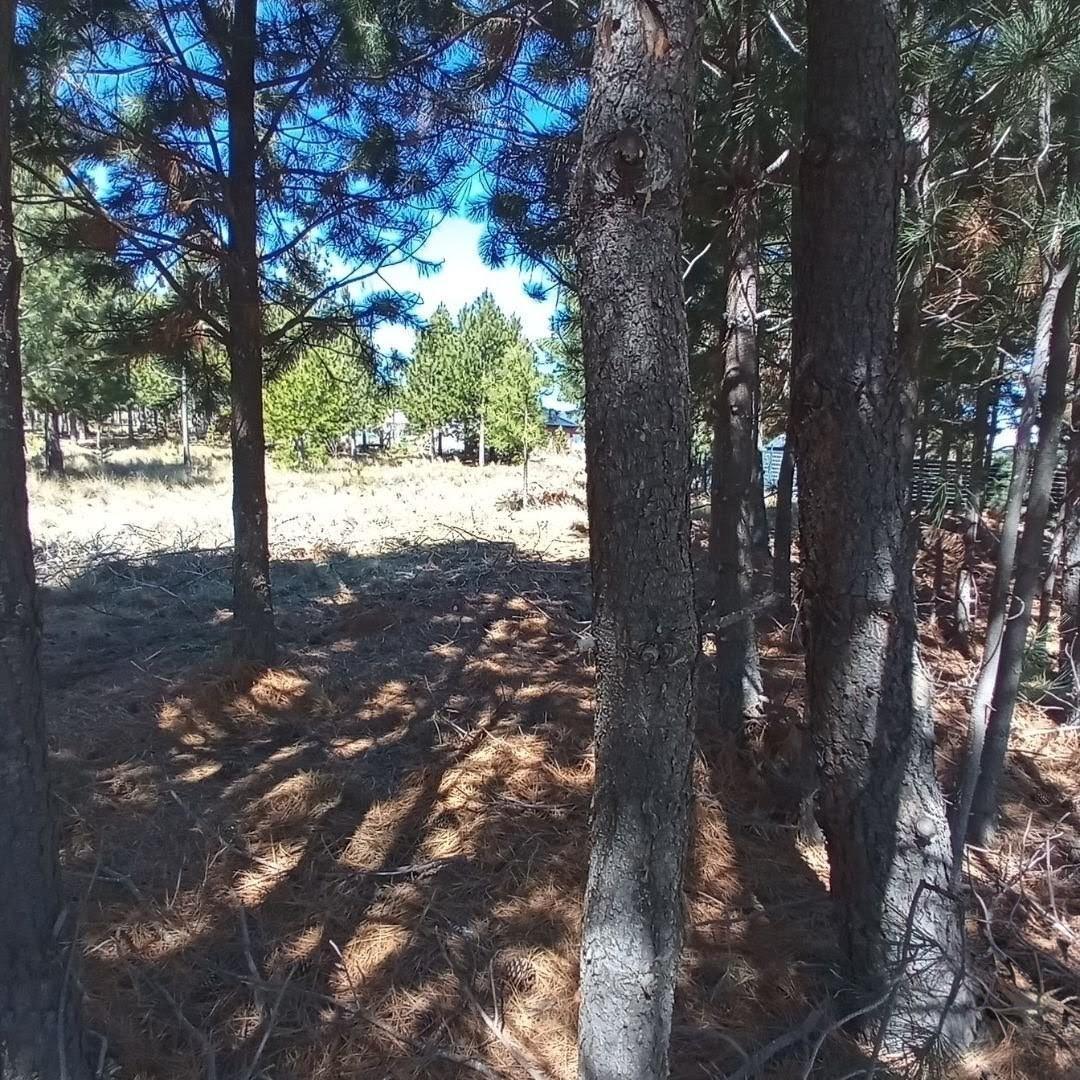 Foto de Amplio terreno, apto 4 PH en Girasoles del Limay, Dina Huapi, imagen 5