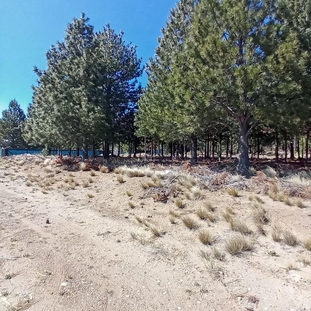 Foto de Amplio terreno, apto 4 PH en Girasoles del Limay, Dina Huapi, imagen 1