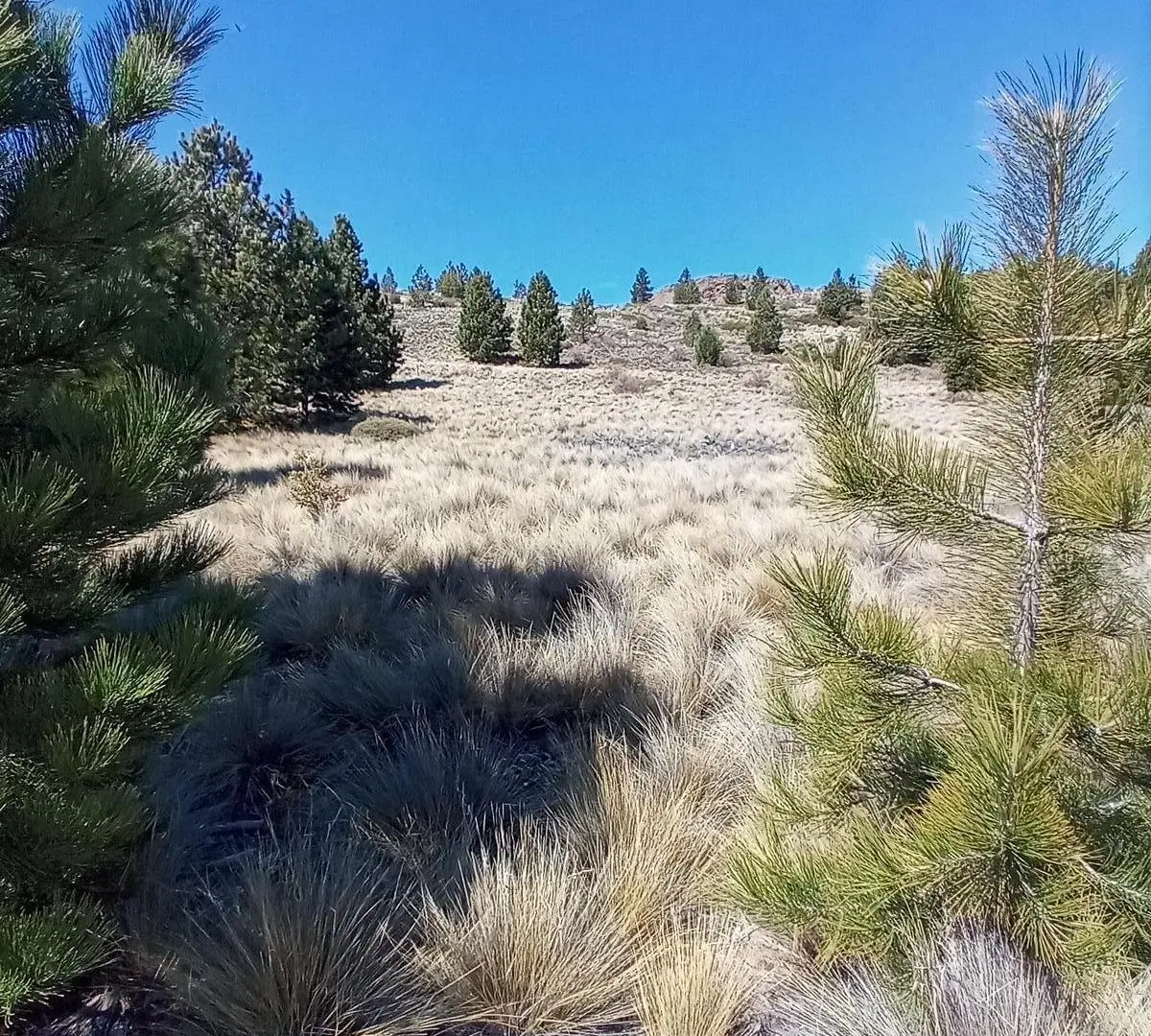 Amplio terreno en Girasoles del Limay, apto 4 PH, Dina Huapi 4
