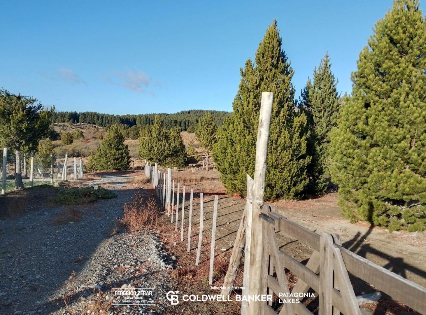 Foto de Terreno de media hectárea en Arroyo del medio, imagen 4