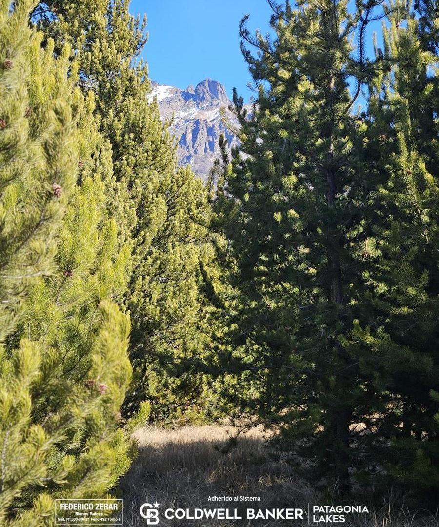 Foto de Terreno en San Carlos De Bariloche, imagen 4