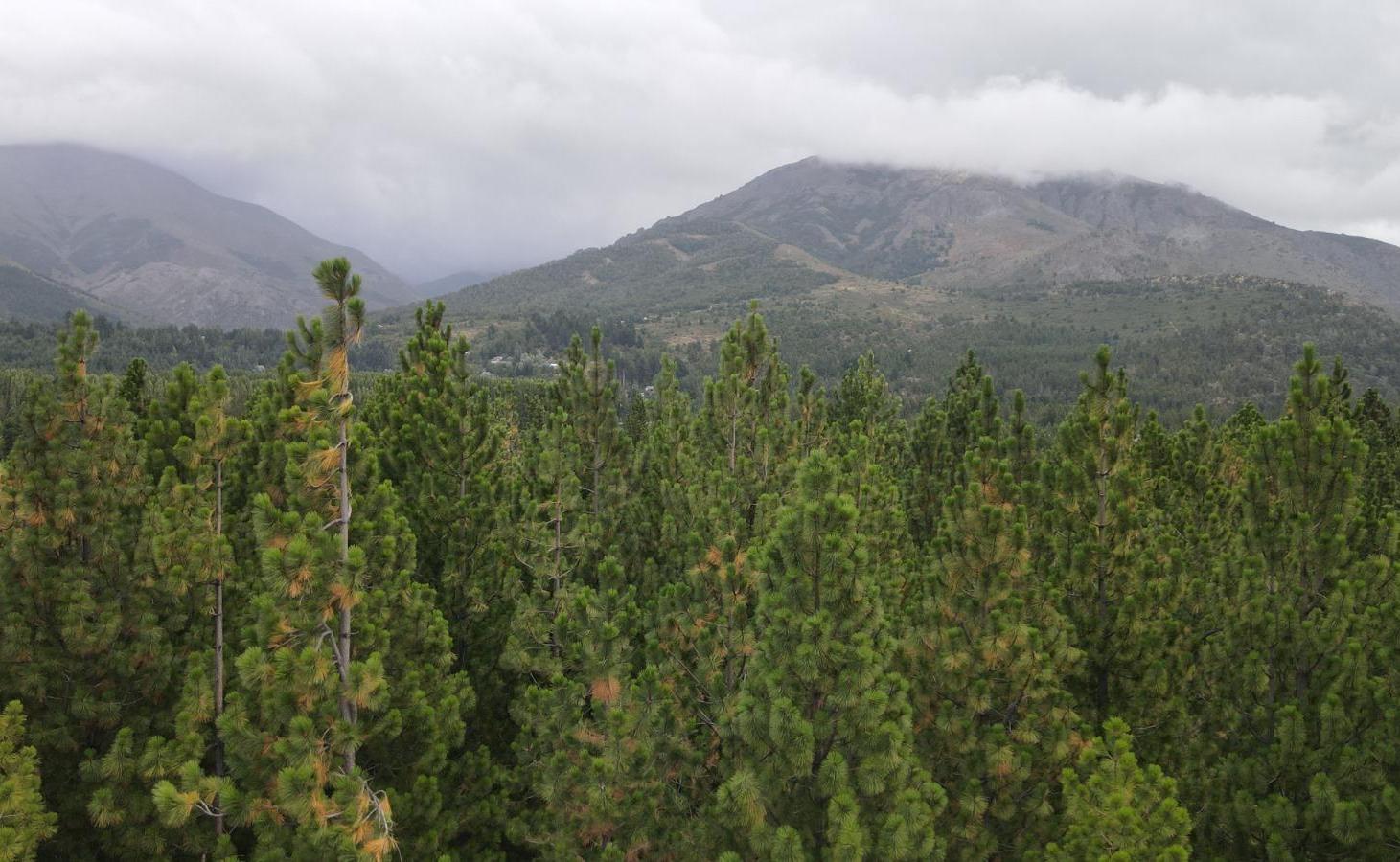 Foto de Lote plano de 1073mts con inmejorables vistas en venta, Club de Campo, imagen 3