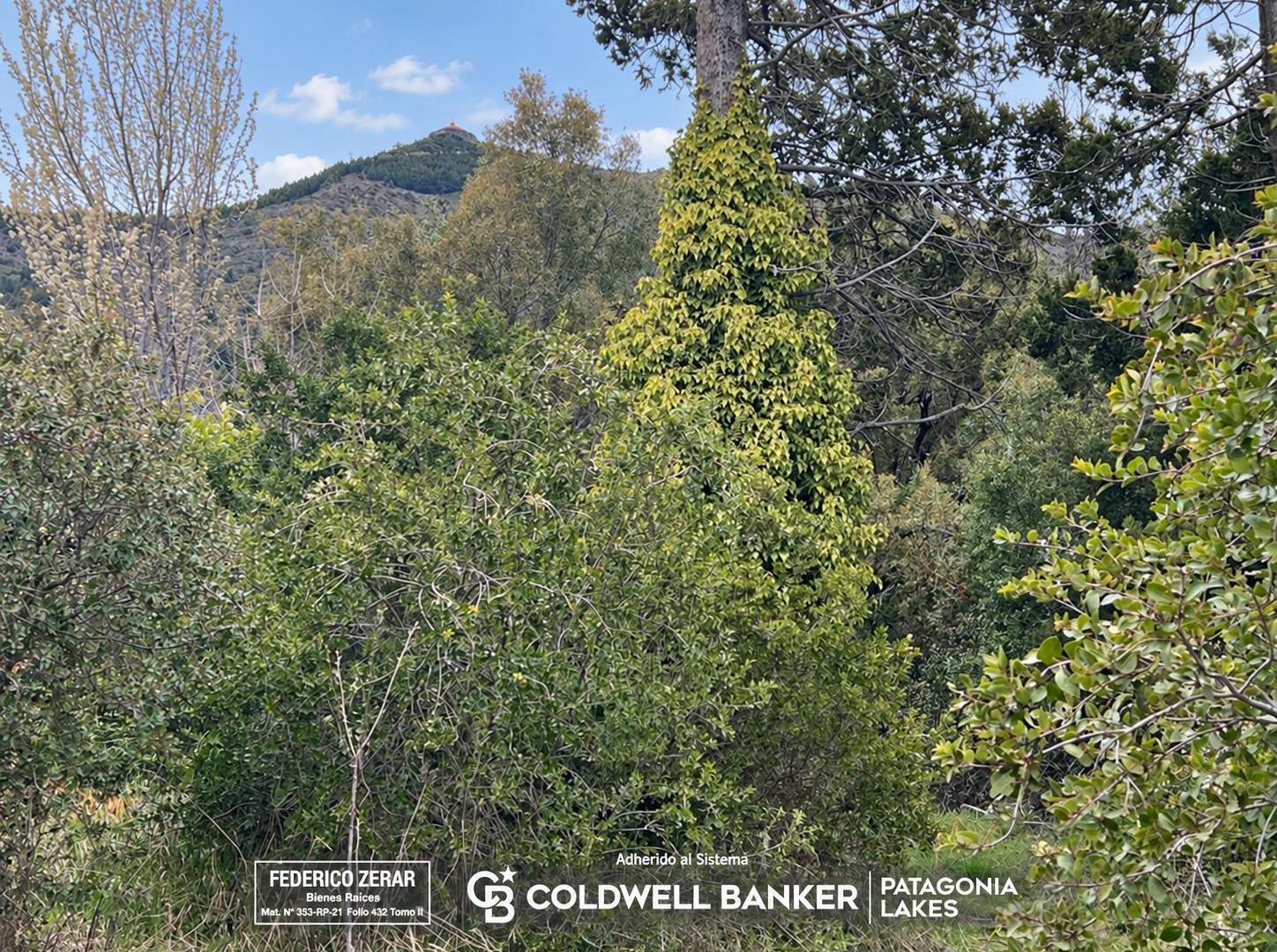 Foto de Terreno en Bariloche, imagen 2