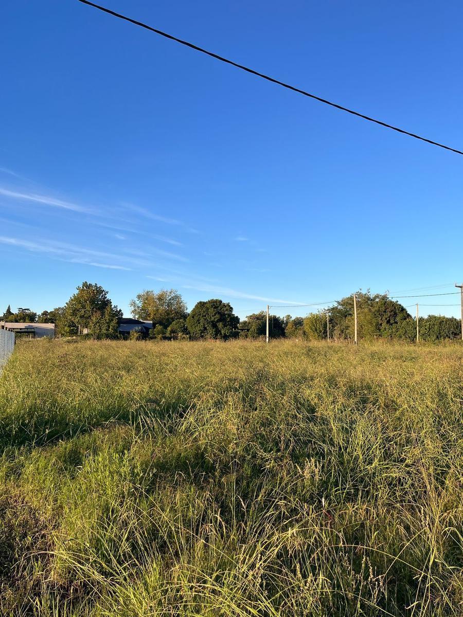 Terreno en Venta 4