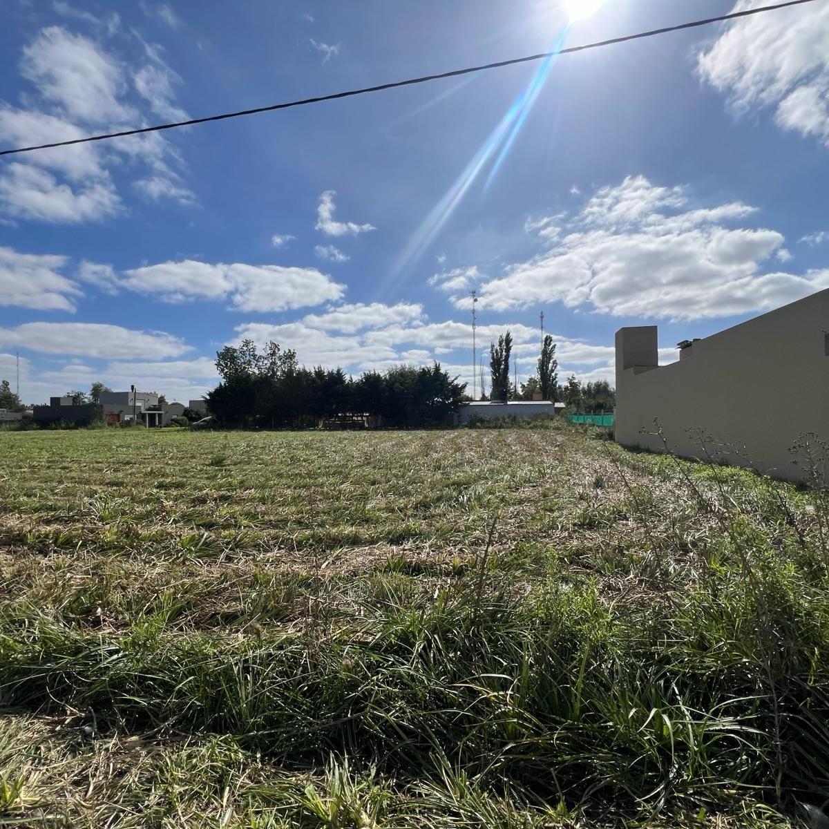 Últimos Lotes en Venta 1