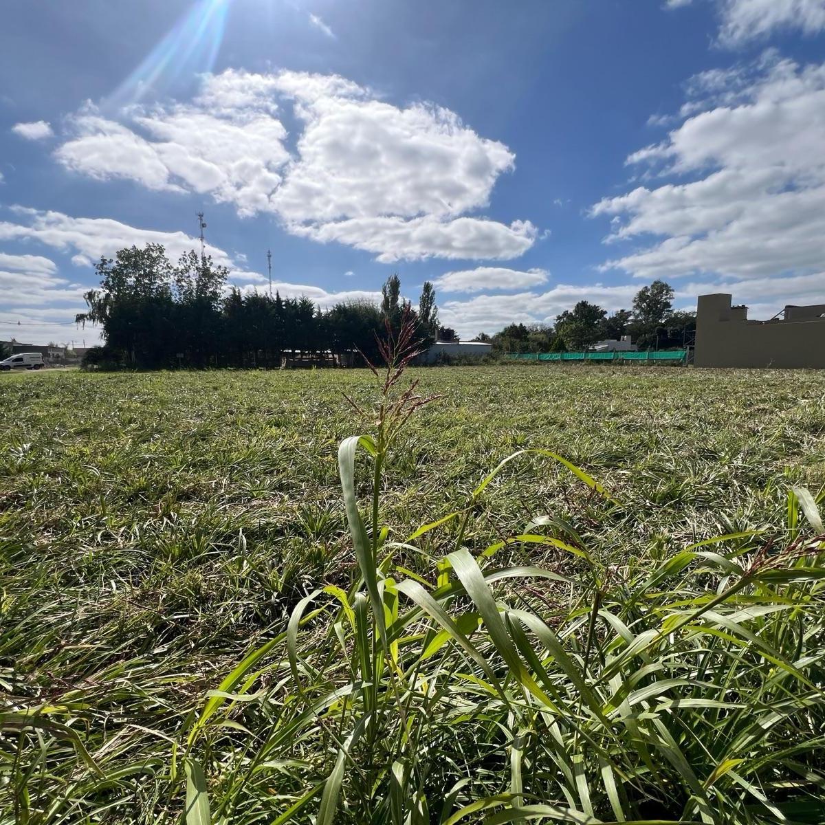 Últimos Lotes en Venta 3
