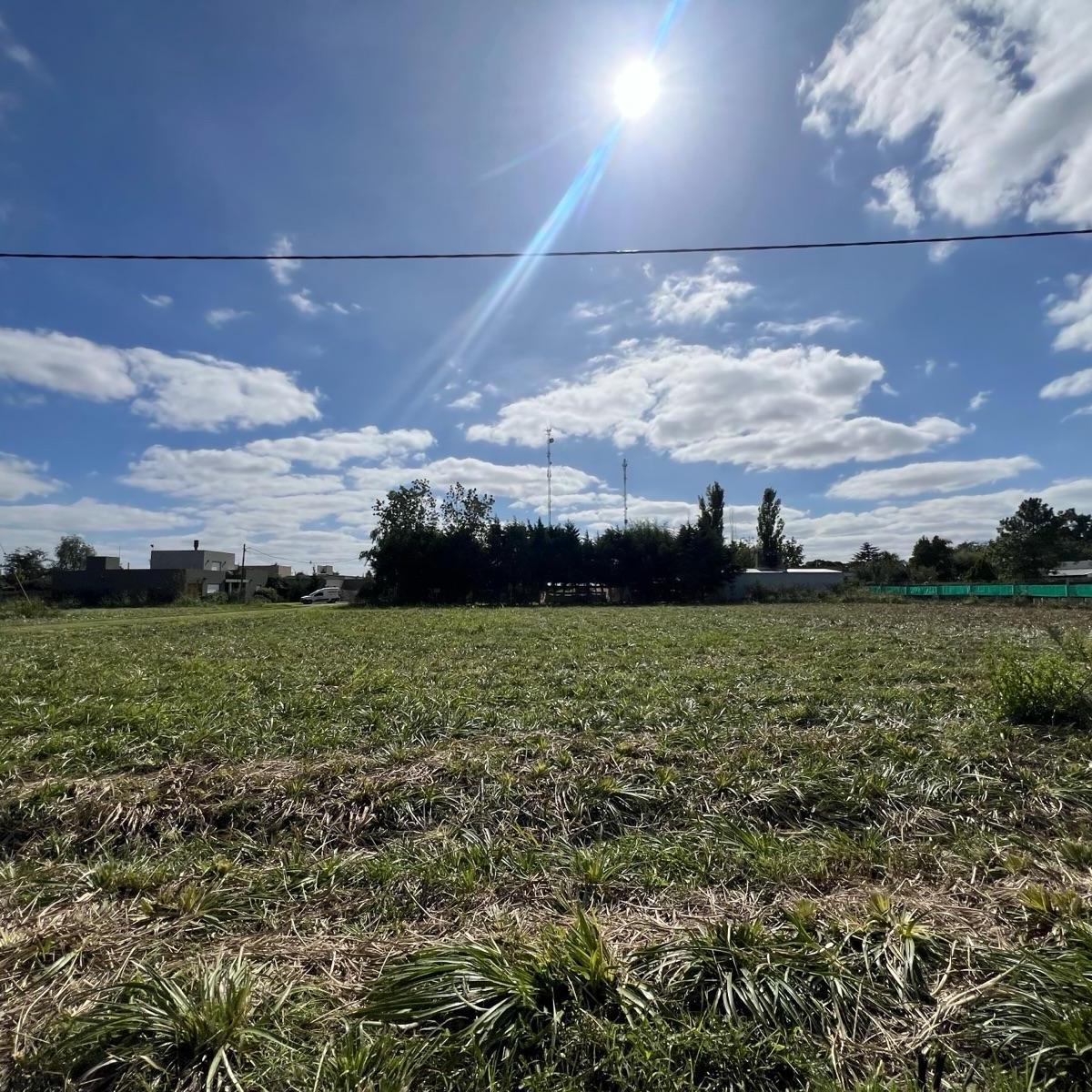 Últimos Lotes en Venta 4