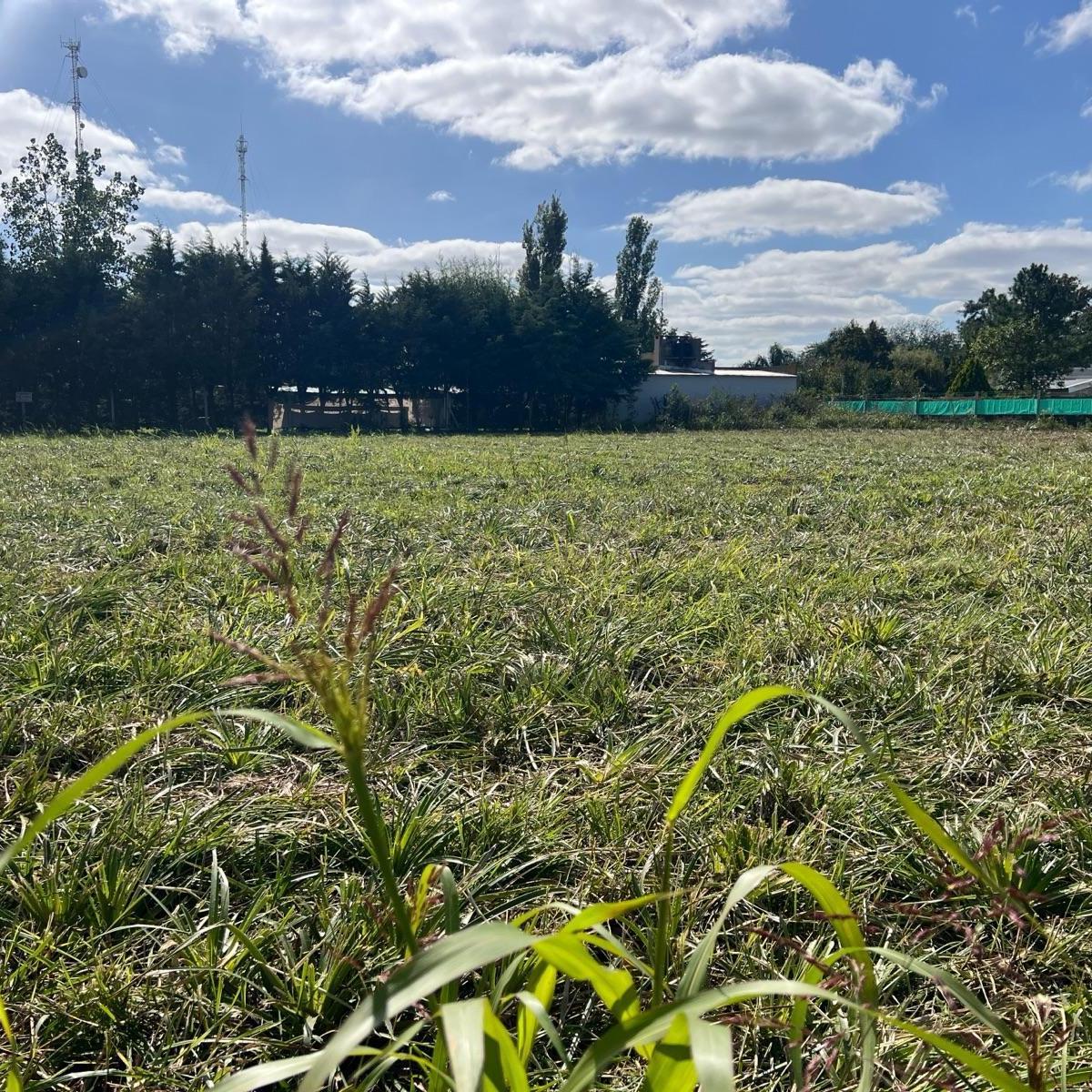 Últimos Lotes en Venta 5