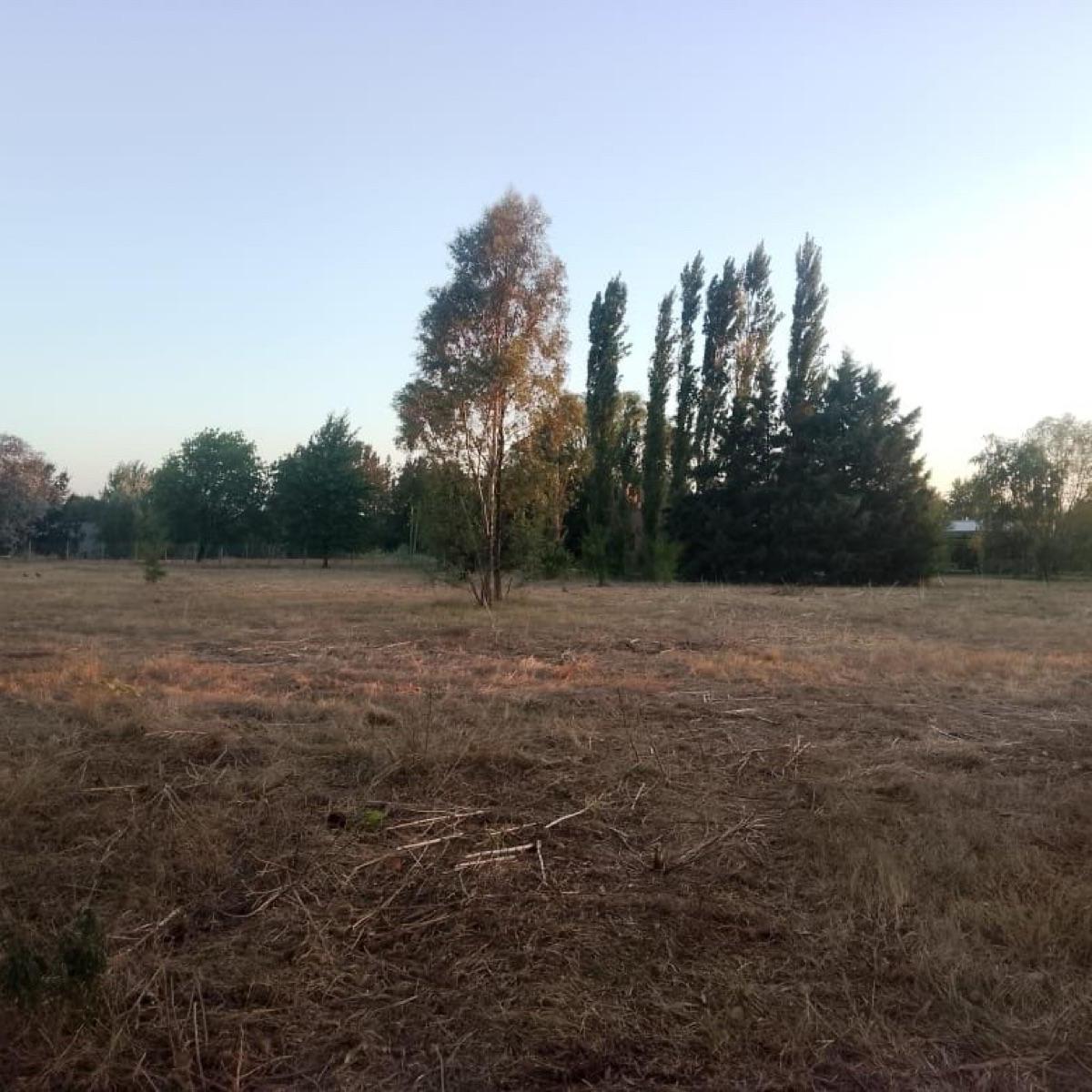 Terreno en Mercedes 2