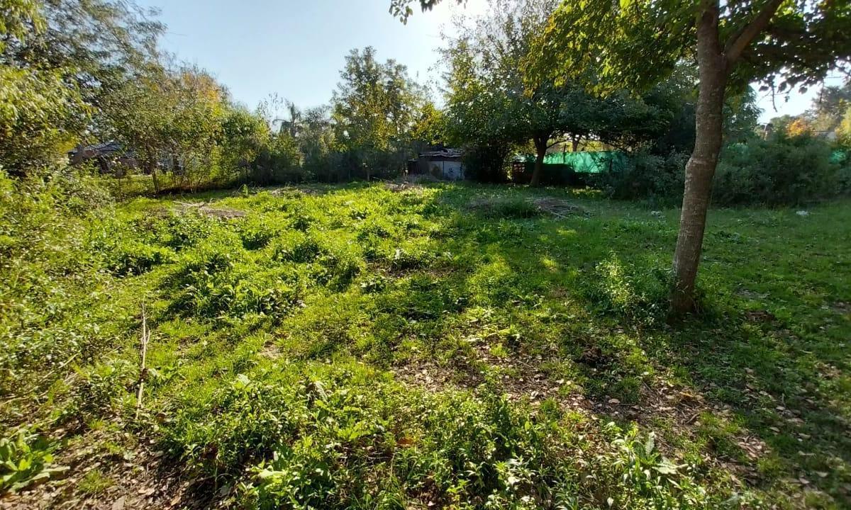 Terreno en venta en Gowland, Mercedes Buenos  Aires