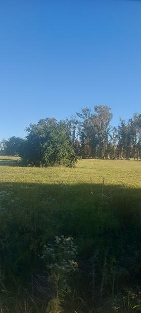 Foto de Hermoso campo de 10 hectáreas en cercanías a pueblo rural en un entorno, imagen 5