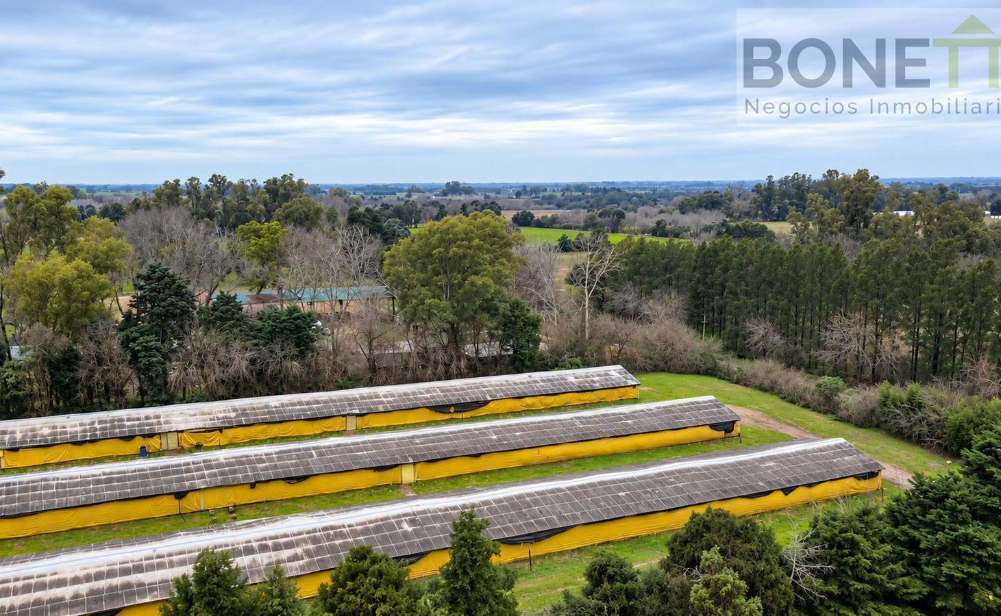 Foto de Chacra de 4 hectáreas con granja avícola en Open Door – Luján, imagen 5