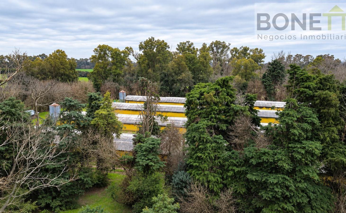 Foto de Chacra de 4 hectáreas con granja avícola en Open Door – Luján, imagen 2