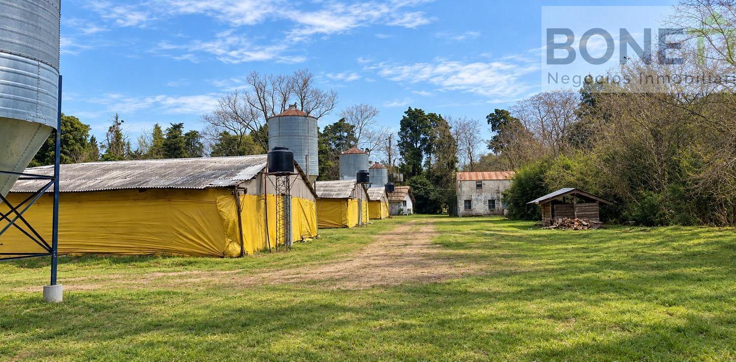 Foto de Chacra de 4 hectáreas con granja avícola en Open Door – Luján, imagen 3