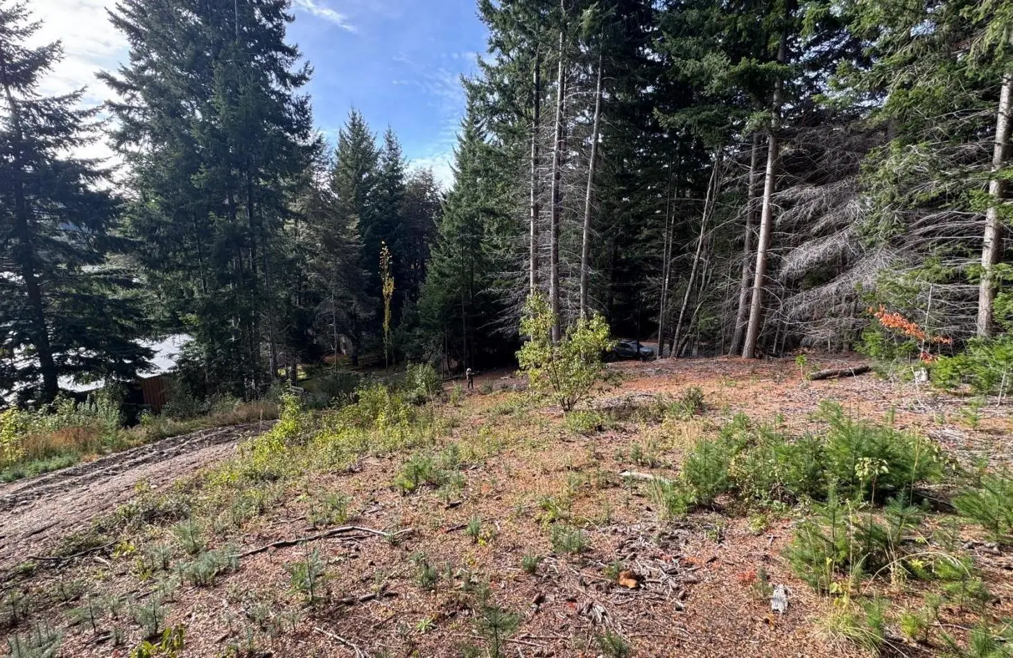VENTA LOTE LAGO MORENO CIRCUITO CHICO 8