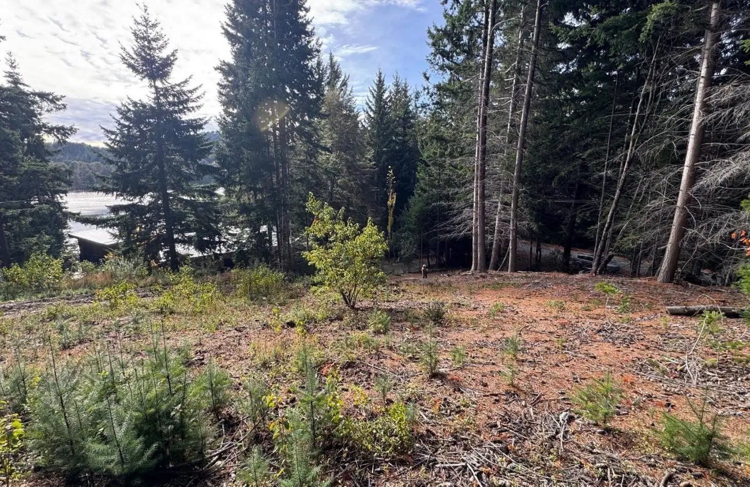 VENTA LOTE LAGO MORENO CIRCUITO CHICO 3