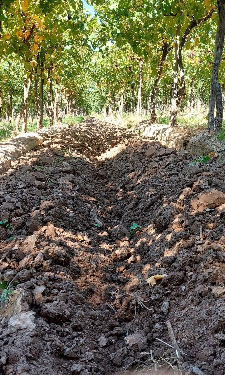 Foto de DESTACADA FINCA AGRELO (COCHABAMBA) USD 549000, imagen 1