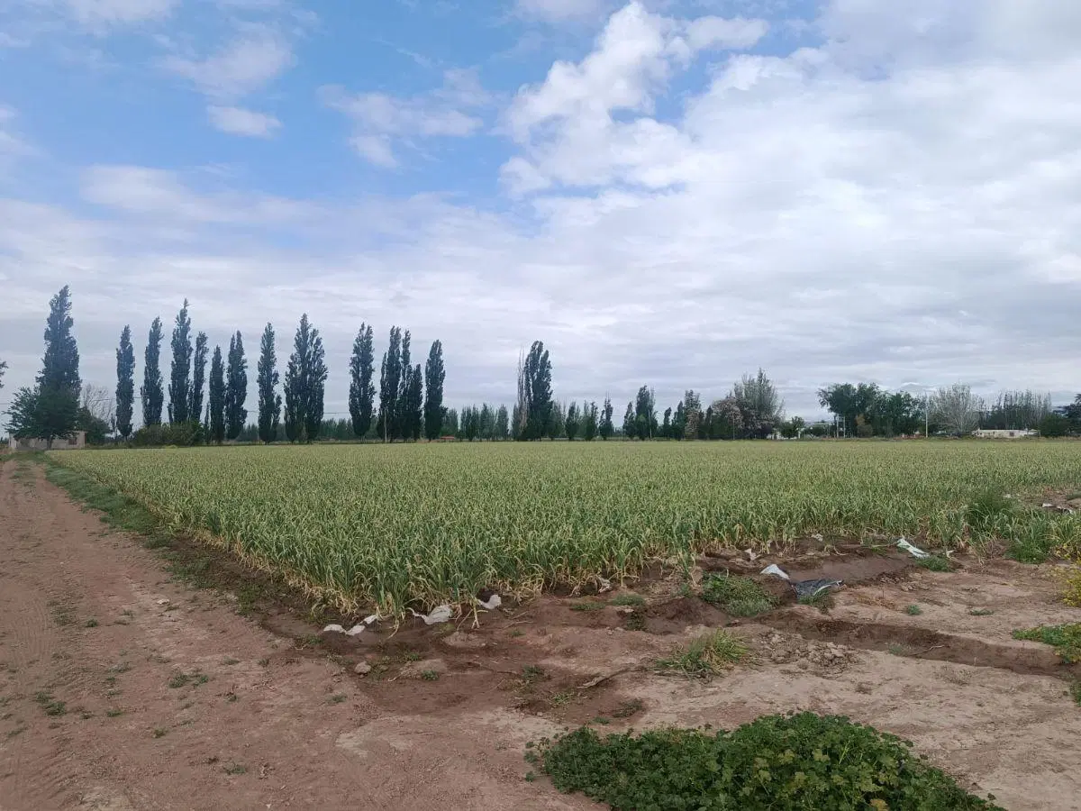 EUSKADI VENDE INCREIBLE FINCA EN AGREGO (COBOS Y FUNES) - USD 420.000 3