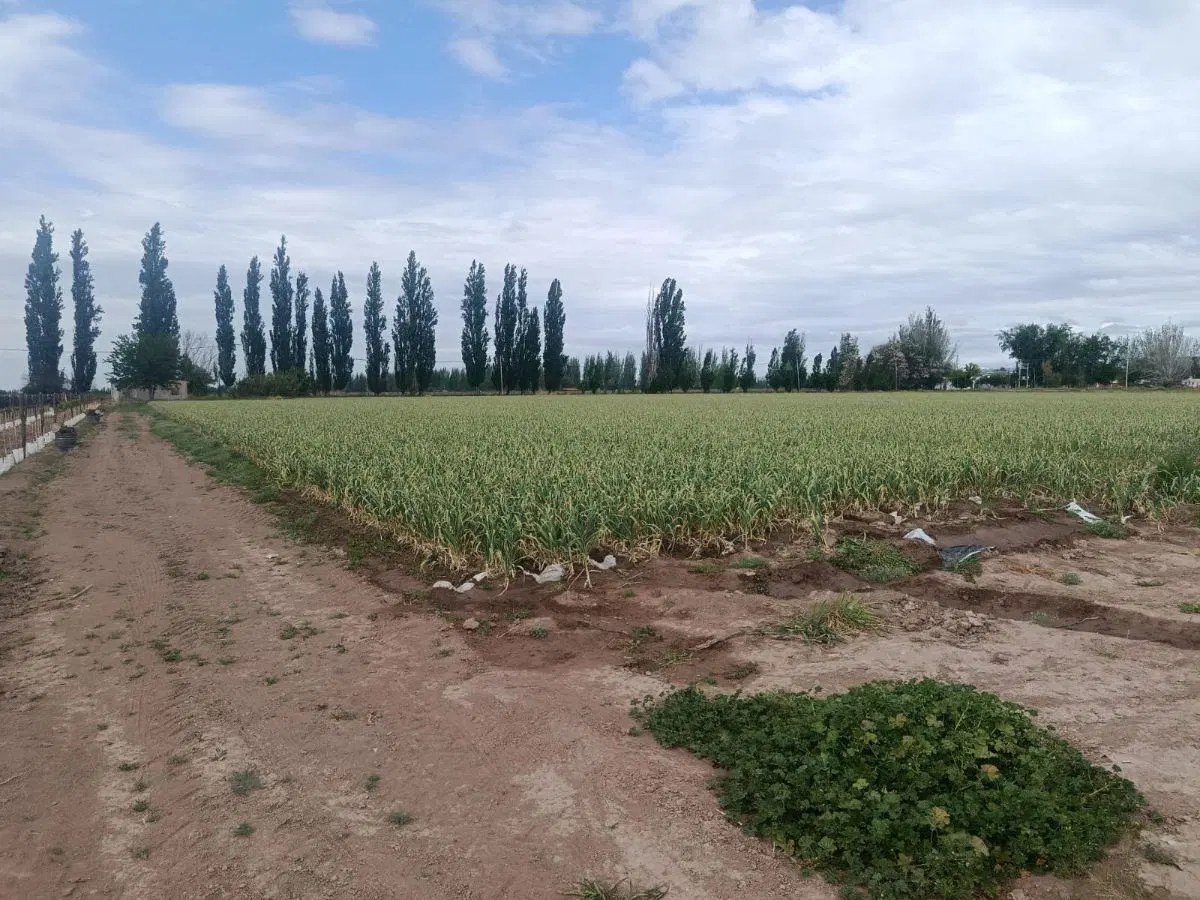EUSKADI VENDE INCREIBLE FINCA EN AGREGO (COBOS Y FUNES) - USD 420.000 5