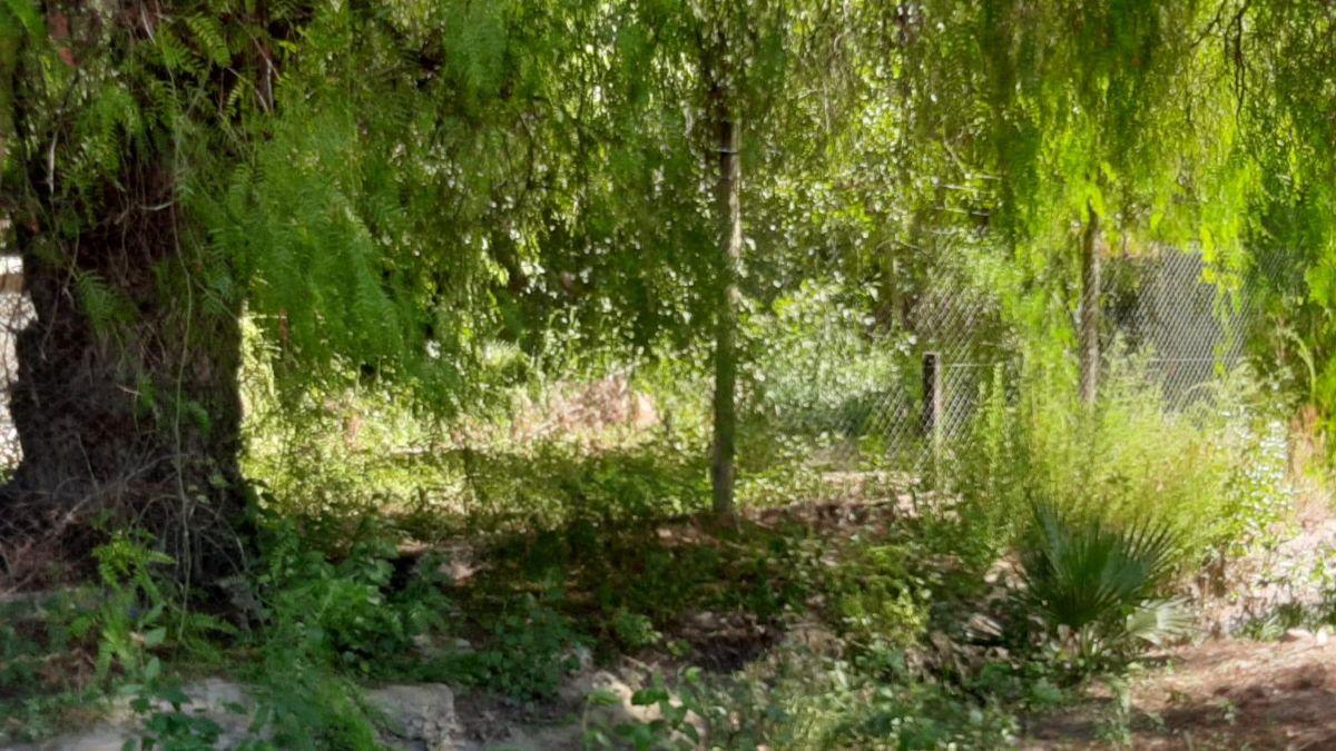Foto de Terreno / Lote en venta de 2420m2 ubicado en Maipú, imagen 4