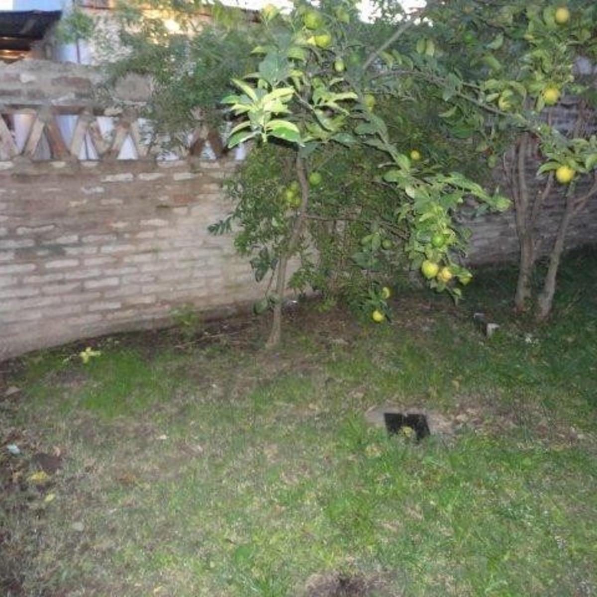 Foto de INMUEBLE COMPUESTO POR 2 CASAS - IDEAL RENTA, imagen 2