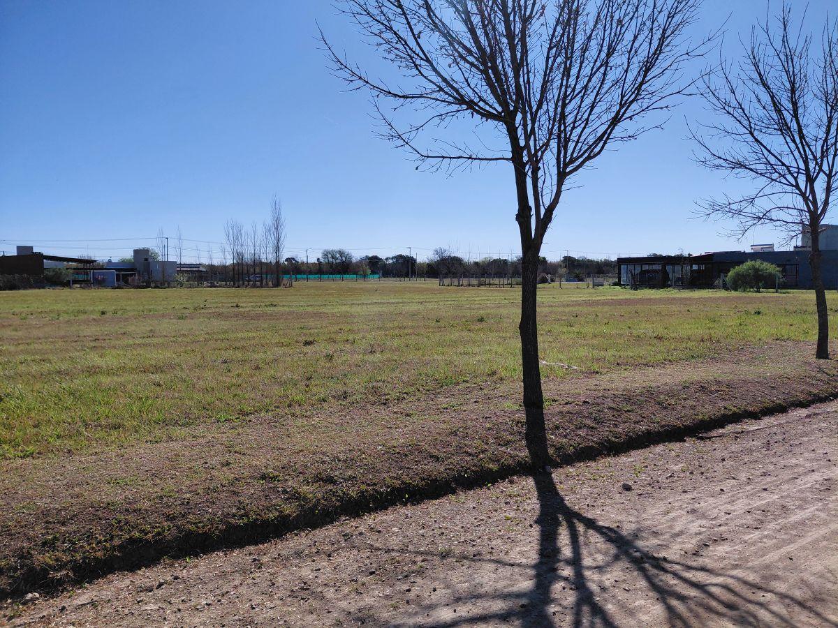 Foto de Loteos Terra Nostra I y II: Tu próxima gran inversión en la Zona Sur, imagen 1