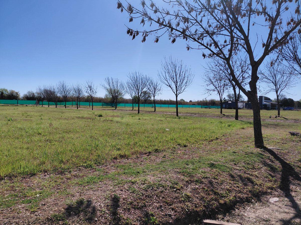 Foto de Loteos Terra Nostra I y II: Tu próxima gran inversión en la Zona Sur, imagen 5
