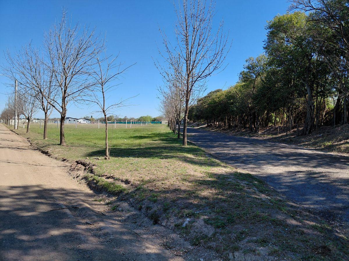 Foto de Loteos Terra Nostra I y II: Tu próxima gran inversión en la Zona Sur, imagen 2