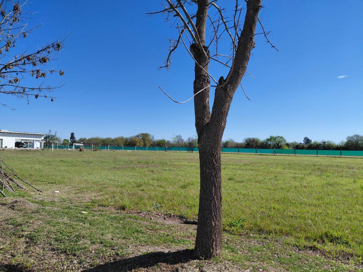 Foto de Loteos Terra Nostra I y II: Tu próxima gran inversión en la Zona Sur, imagen 4
