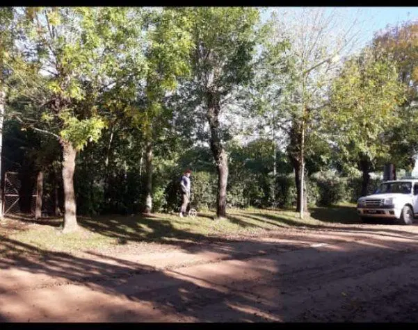 Lote . | 9 DE JULIO, AV. al 100 2