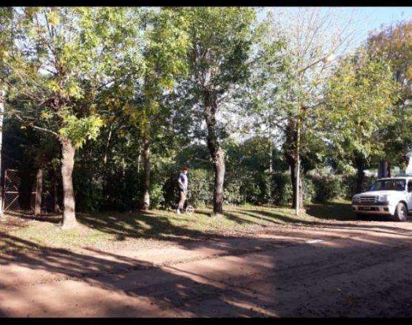 Lote . | 9 DE JULIO, AV. al 100