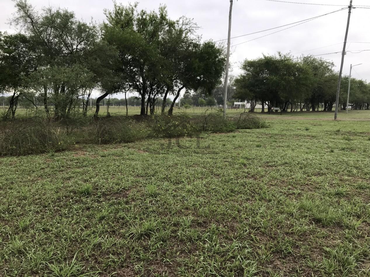 Foto de VENTA TERRENO B° PRIVADO LOS OLMOS, imagen 5