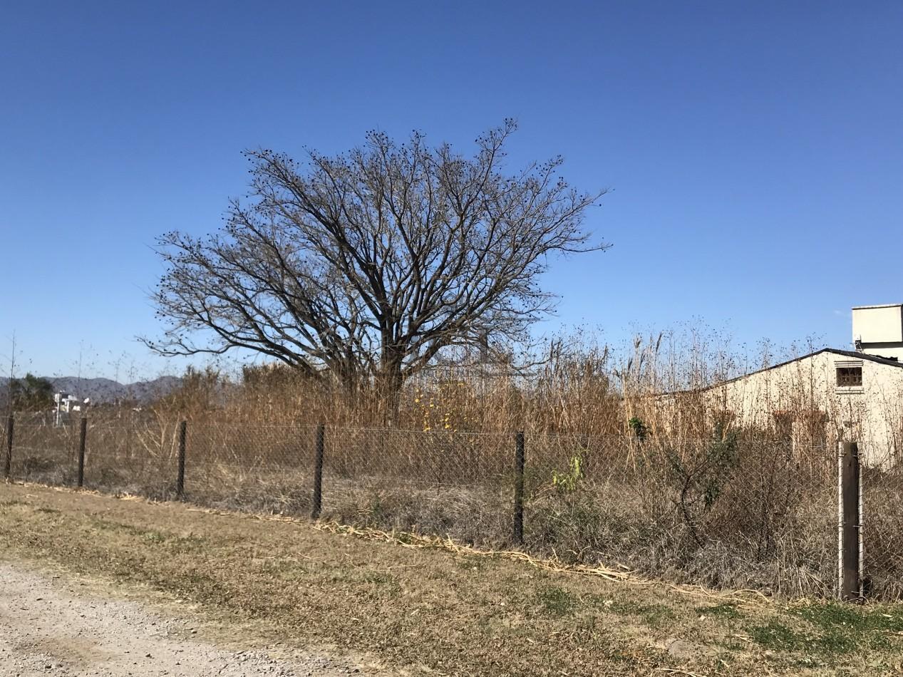 Foto de VENTA TERRENO LA ALMUDENA, imagen 3