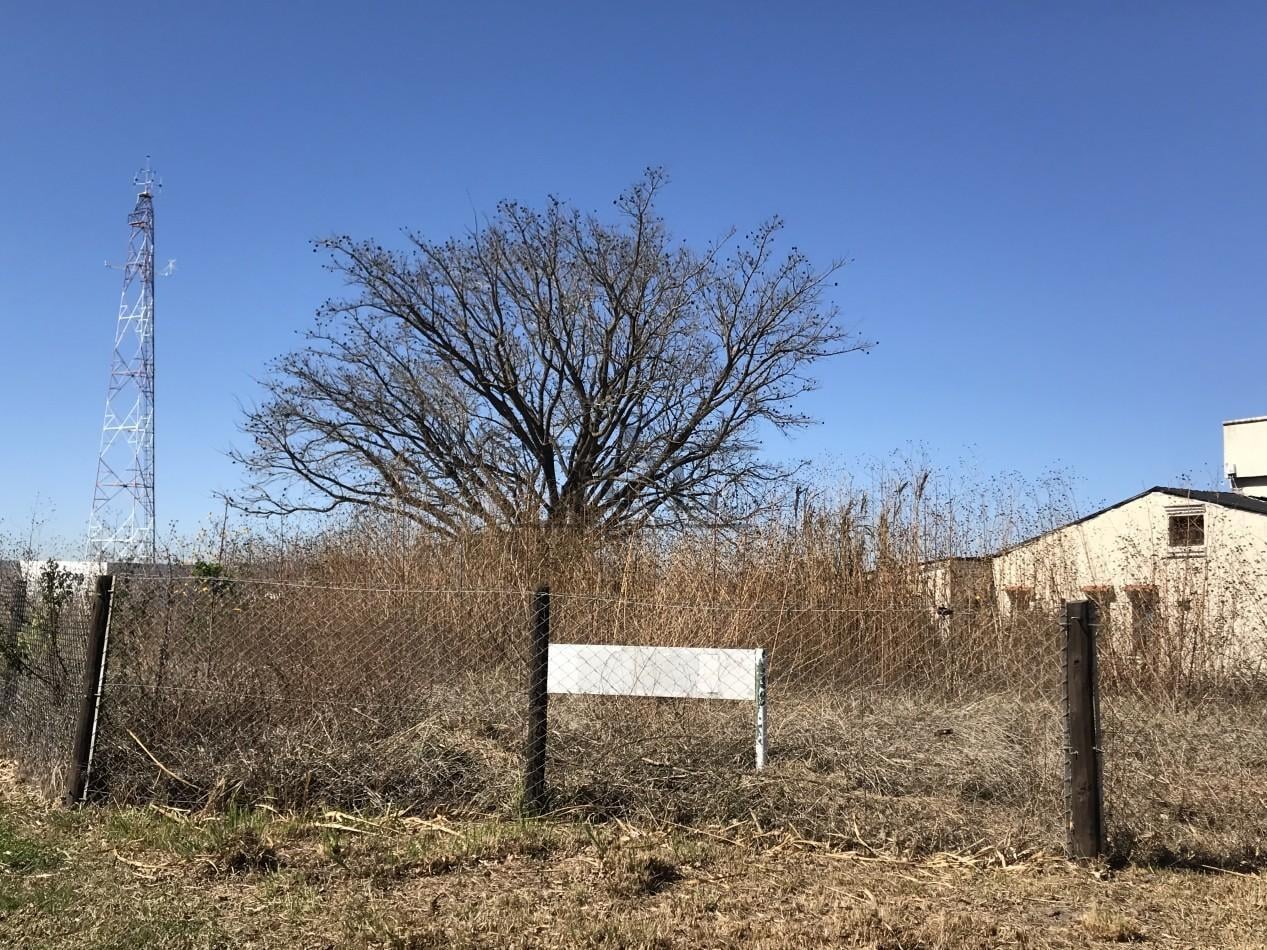 Foto de VENTA TERRENO LA ALMUDENA, imagen 5