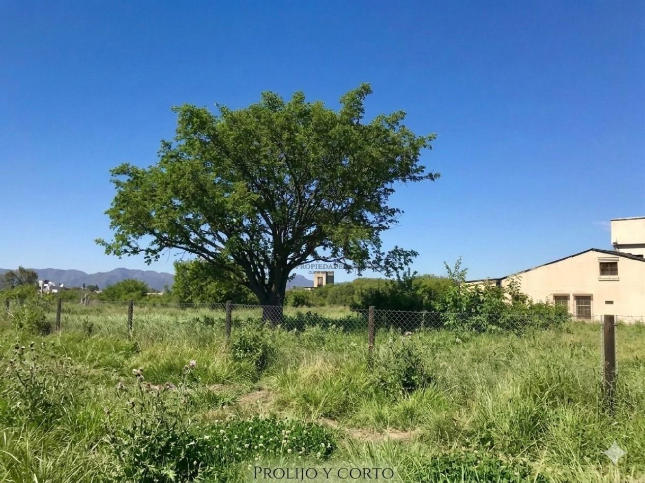 Foto de VENTA TERRENO LA ALMUDENA, imagen 2