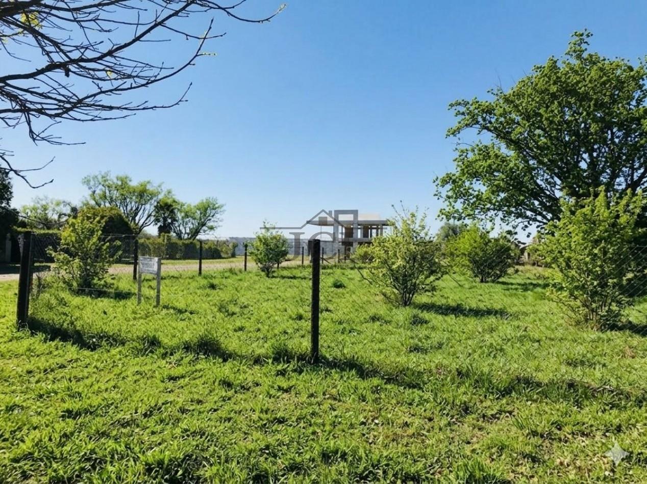 Foto de VENTA TERRENO LA ALMUDENA, imagen 4