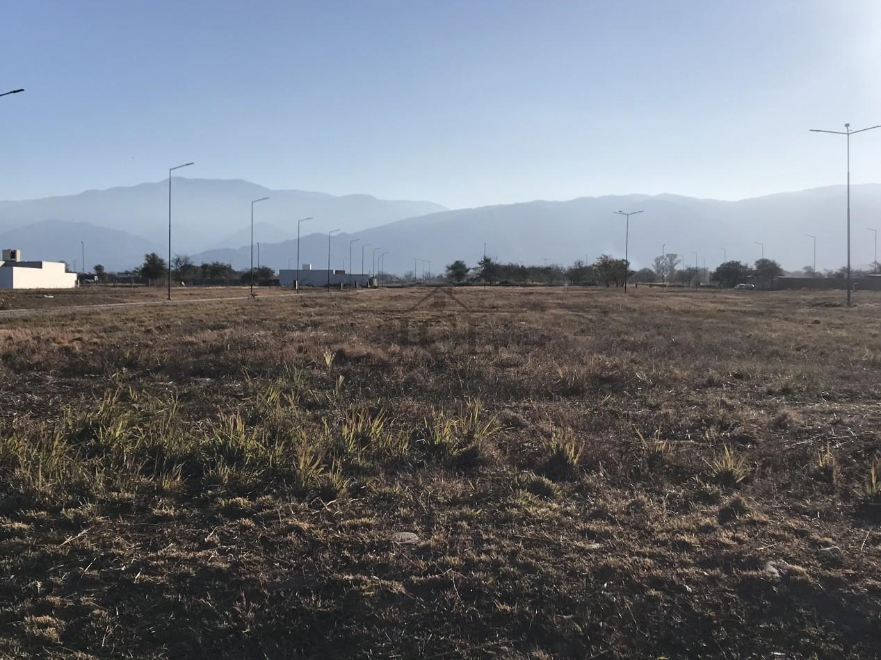 Foto de VENTA TERRENO EKO DISTRITO, imagen 5