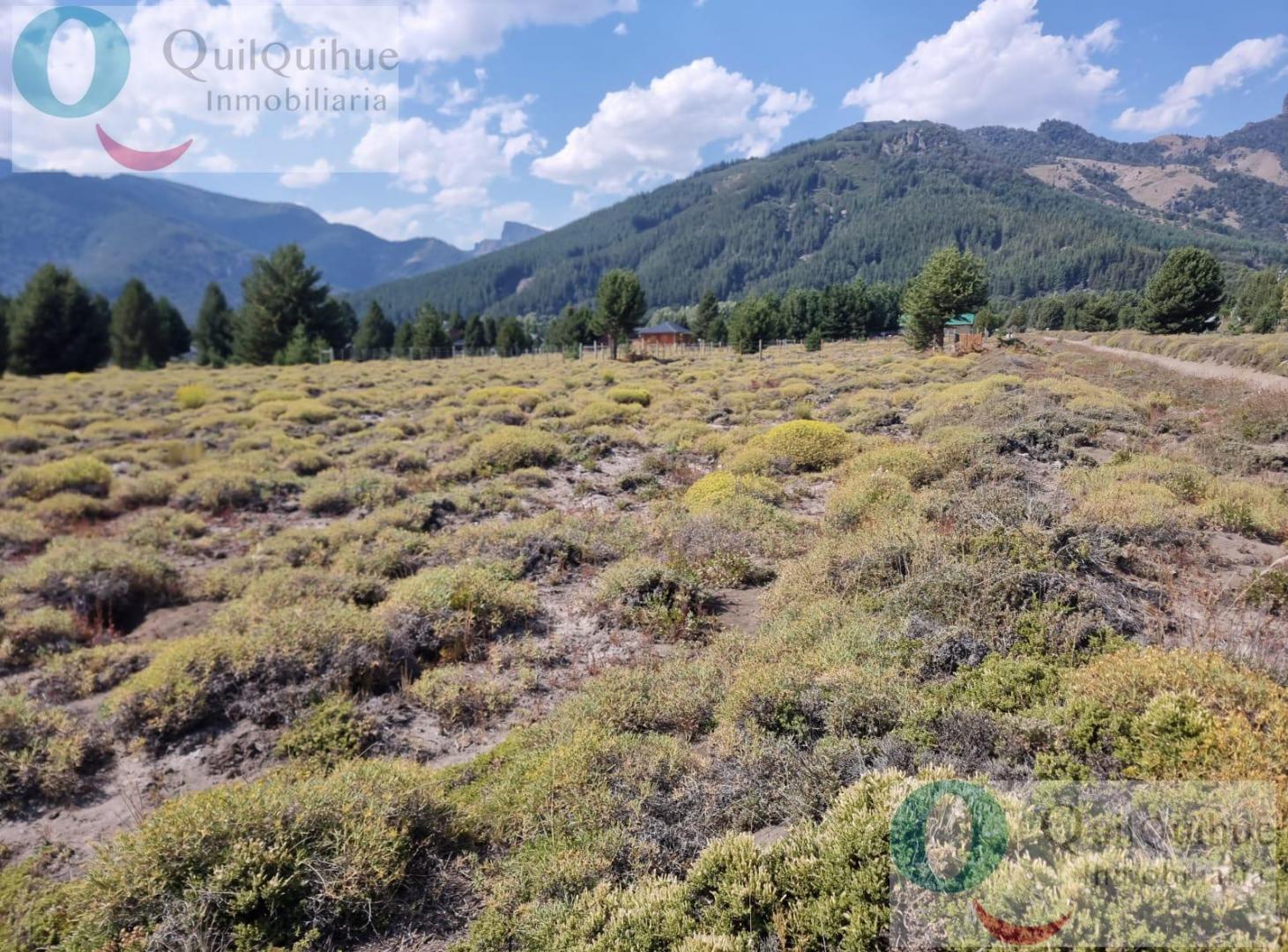 Foto de Lotes en venta en Meliquina-San Martin de los Andes, imagen 1