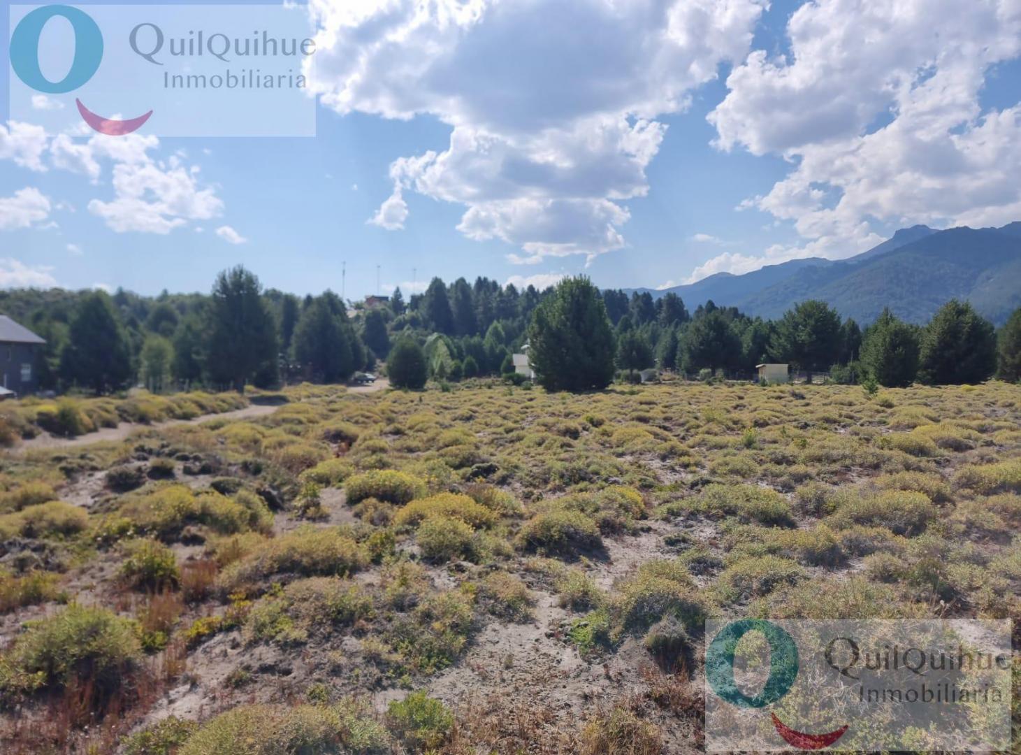 Foto de Lotes en venta en Meliquina-San Martin de los Andes, imagen 2