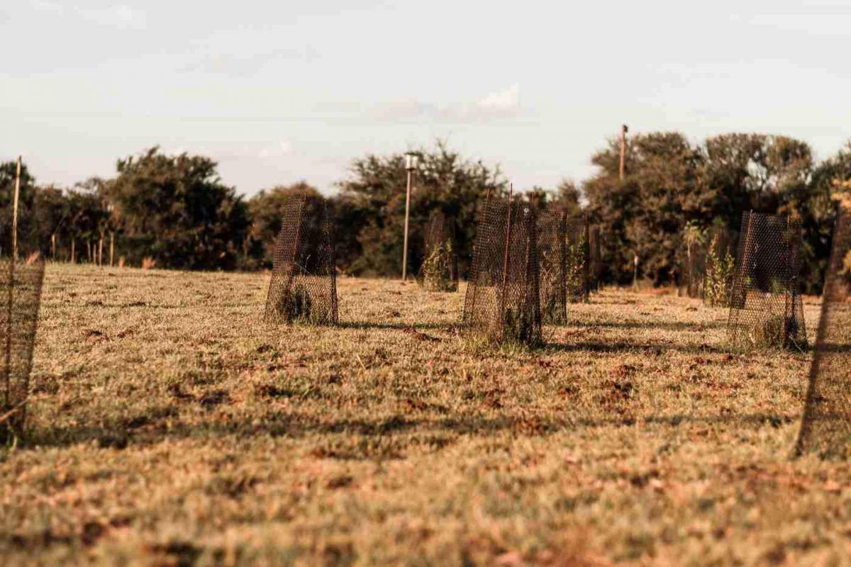 Terreno en La Macarena Club de Campo - Toay 3
