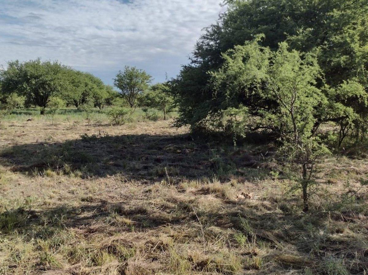 Terreno en La Cuesta del Sur - Toay 4