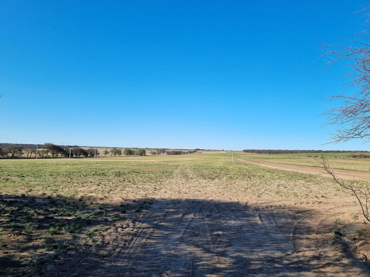 Lote de 1 Hectárea en Loteo "El Bagual" - Toay 4