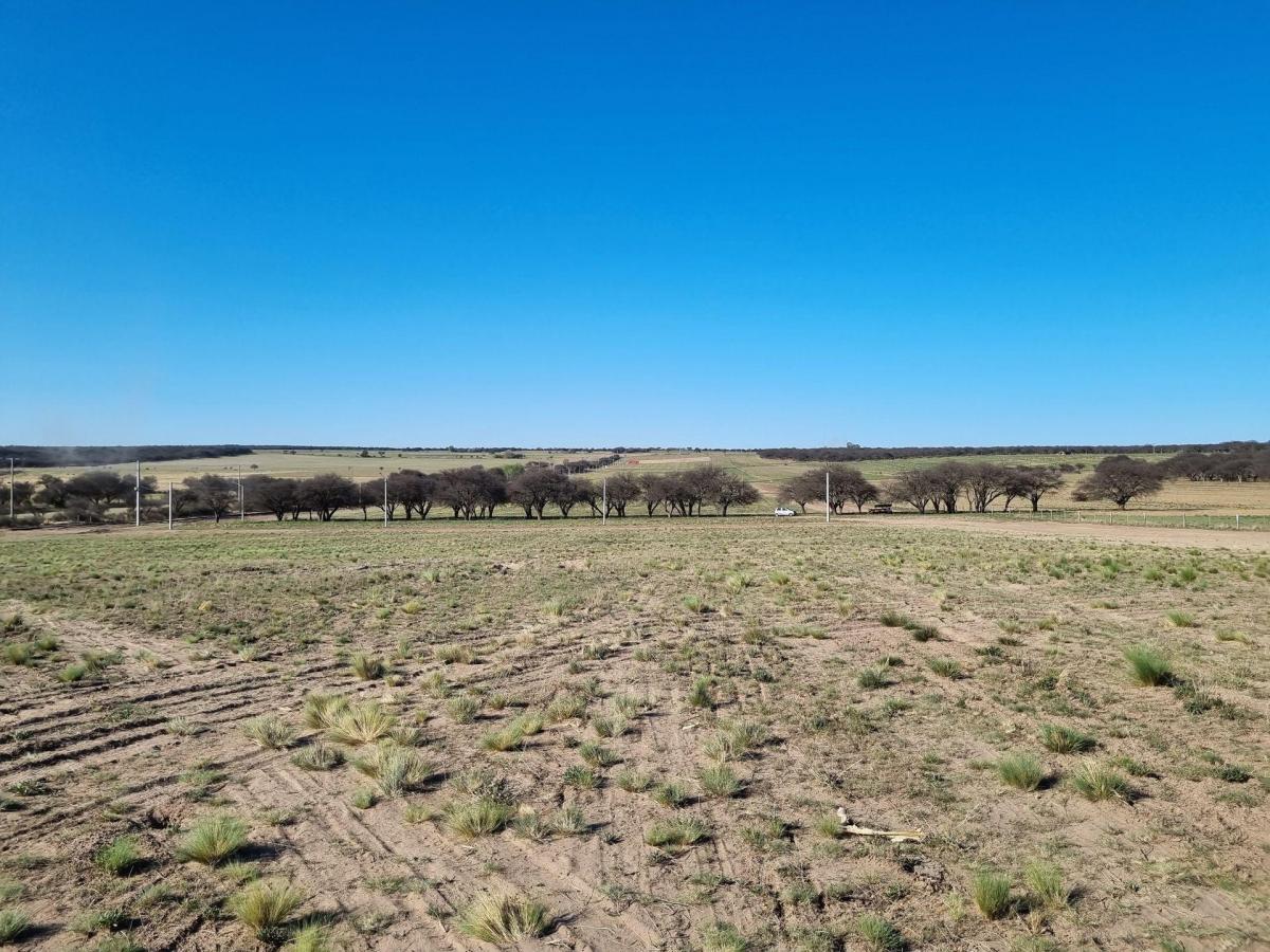 Lote de 1 Hectárea en Loteo "El Bagual" - Toay 2