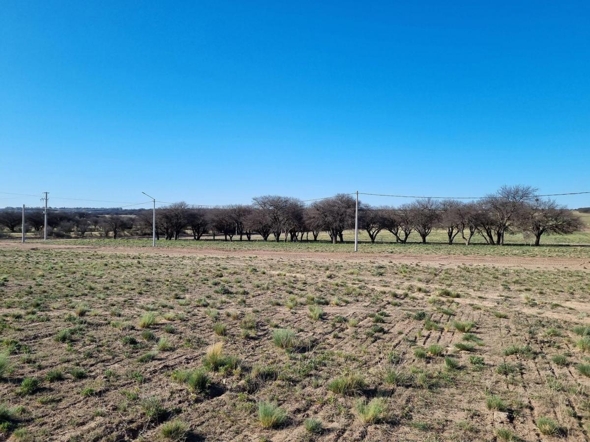 Lote de 1 Hectárea en Loteo "El Bagual" - Toay 1
