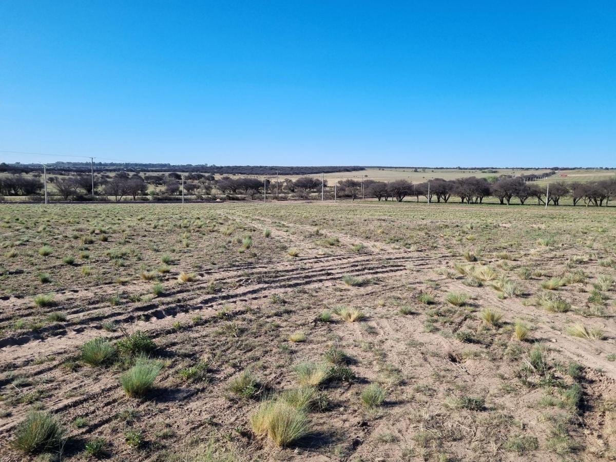Lote de 1 Hectárea en Loteo "El Bagual" - Toay 3