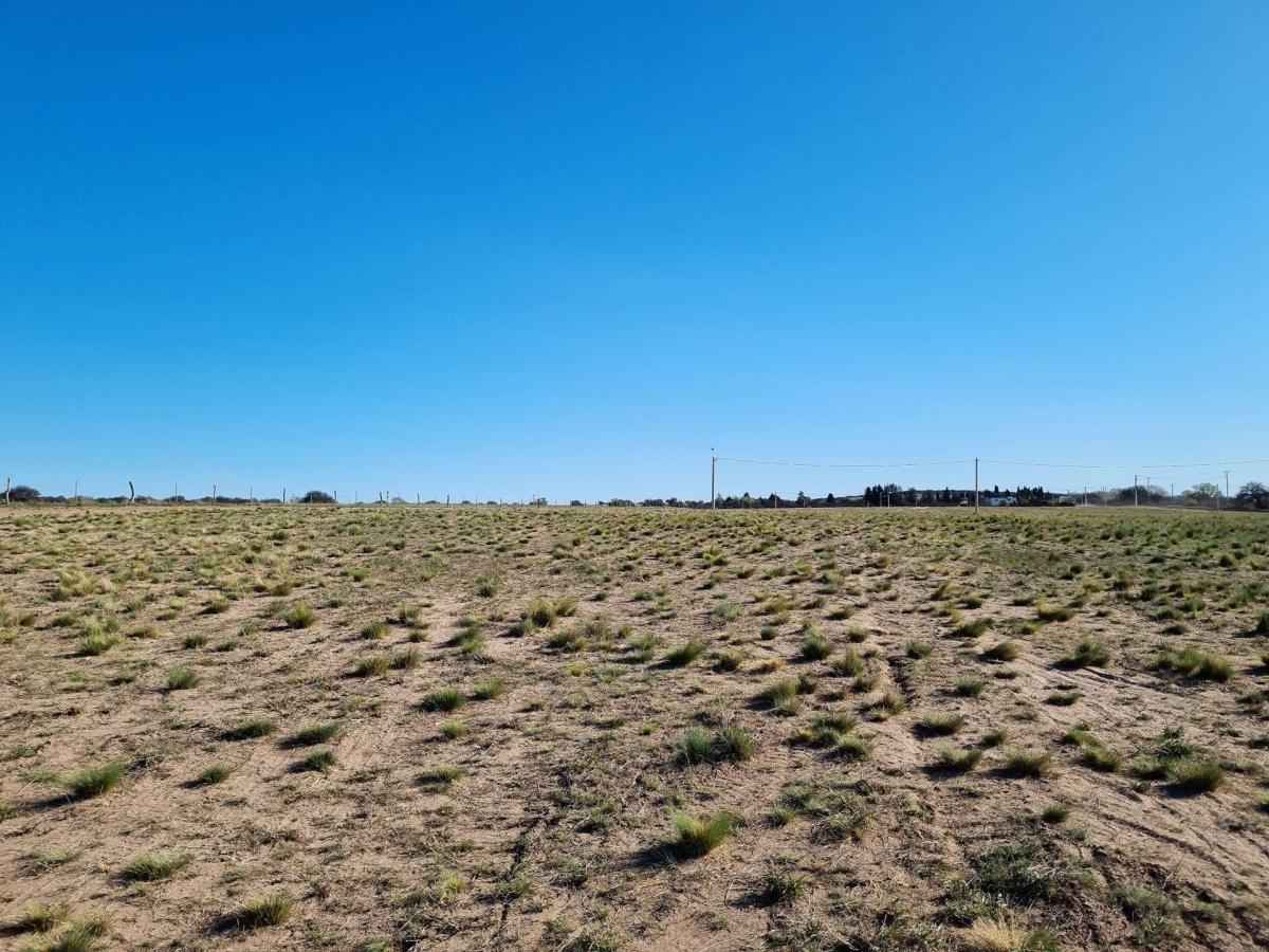 Lote de 1 Hectárea en Loteo "El Bagual" - Toay 3