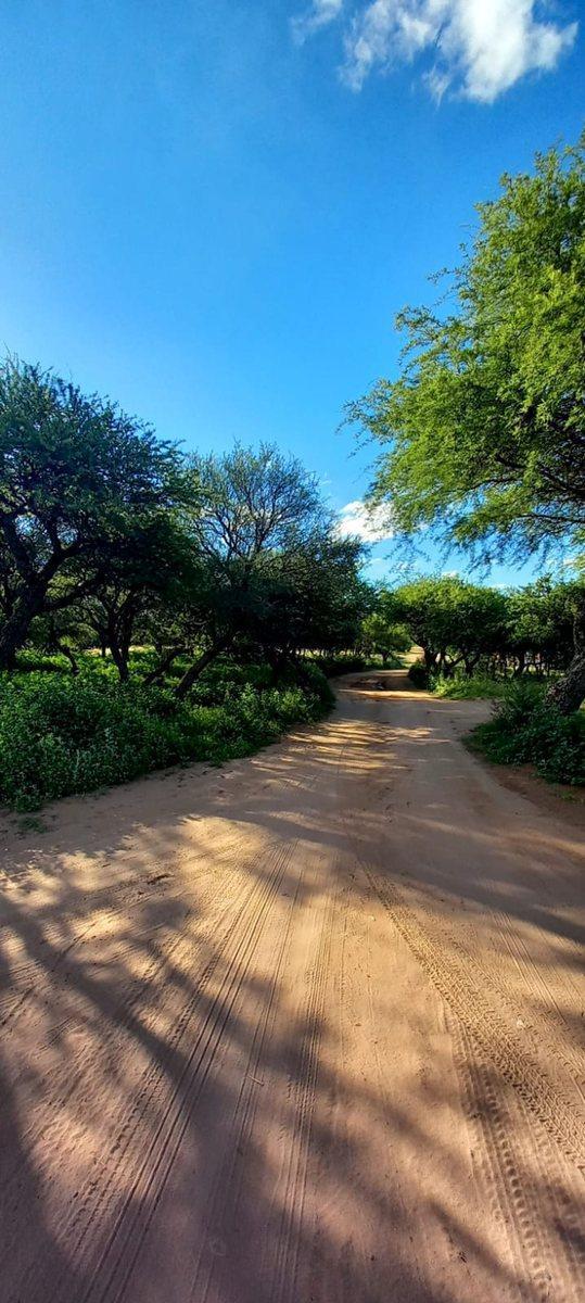 Venta Terrenos Cabildo - Jujuy - Catamarca - Saavedra 3