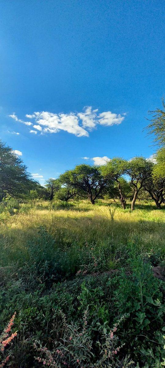 Terrenos en Cabildo - Jujuy - Catamarca - Saavedra, Toay 5