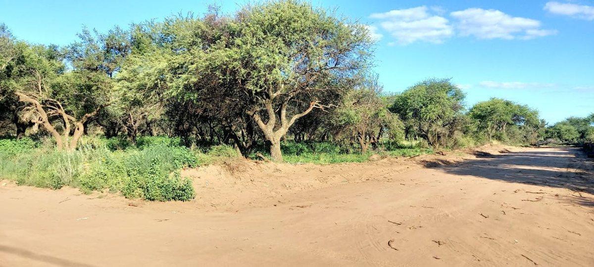 Terrenos en Cabildo - Jujuy - Catamarca - Saavedra, Toay 3